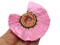 2 3.25 Inch Medium Pink with Multi-Color Thread Fan Tassel Pendants